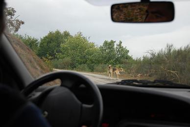 e0120938_1831666.jpg