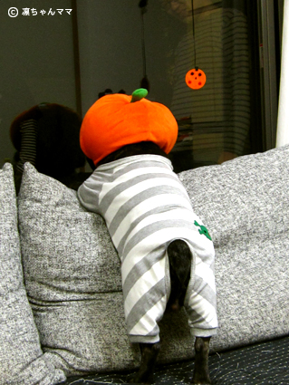 a0110942_2201239.jpg