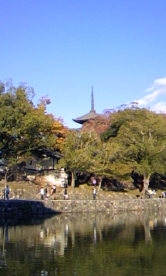 a0116442_1653175.jpg