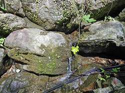 e0186942_16252436.jpg