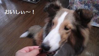 い~しやきいもー♪_e0195743_0372553.jpg