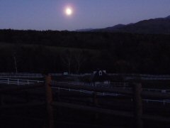 満月の夜_f0019247_06463.jpg