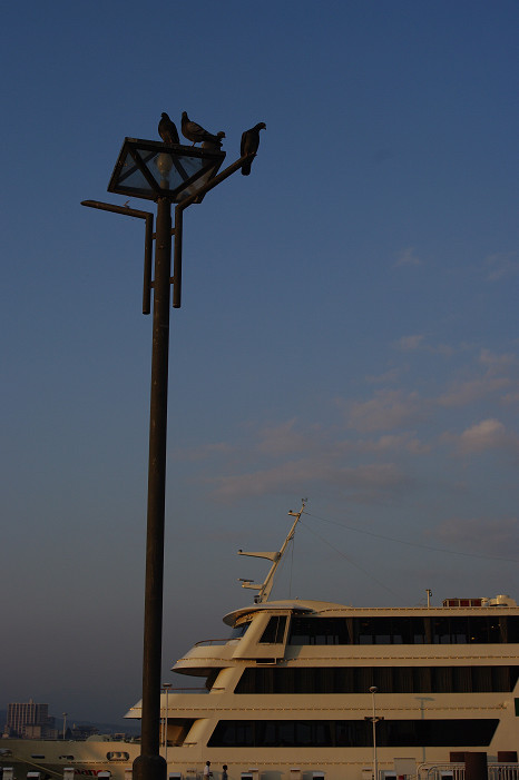 f0152550_21591145.jpg