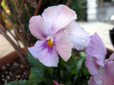 c0147952_0104740.jpg