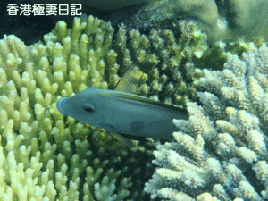 f0190653_18142994.gif