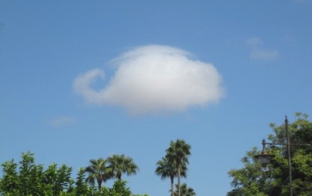 b0173754_10454540.jpg