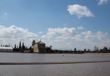b0173754_10515758.jpg
