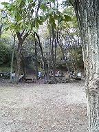 c0039857_11355125.jpg