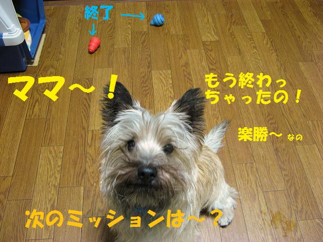 c0202659_23593420.jpg