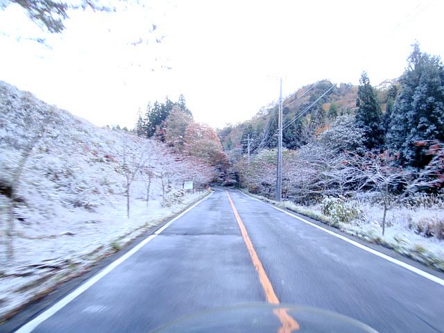 c0214259_1036562.jpg