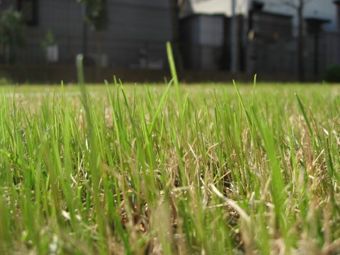 f0088864_12513697.jpg