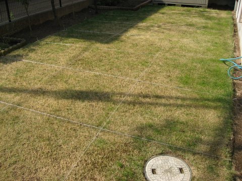f0088864_12523591.jpg