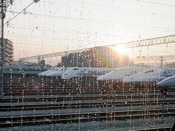 d0064471_71585.jpg