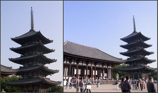 d0064471_8171848.jpg