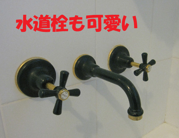 オーストラリアの家_b0019674_2344568.jpg