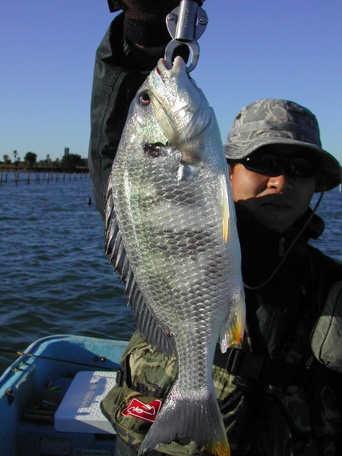 e0089777_00373.jpg