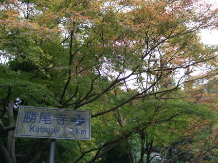 気の向くままに北摂へ（前編：箕面～北摂～逢坂峠）_e0138081_11455276.jpg