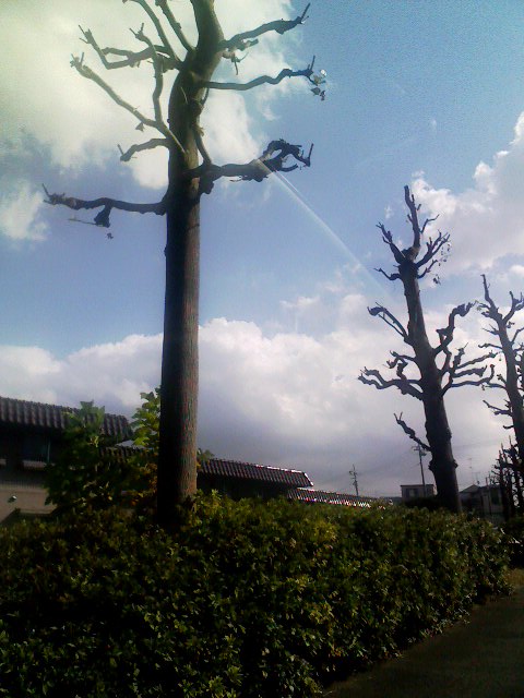 f0016783_1405943.jpg