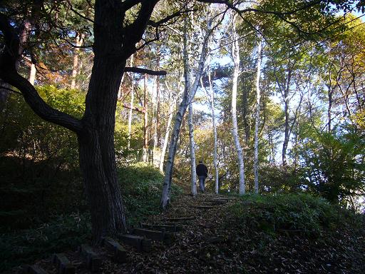 b0134988_11505444.jpg