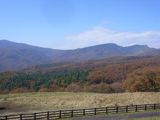 b0134988_11533945.jpg