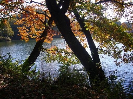 b0134988_11581723.jpg