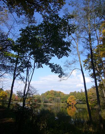 b0134988_11583715.jpg