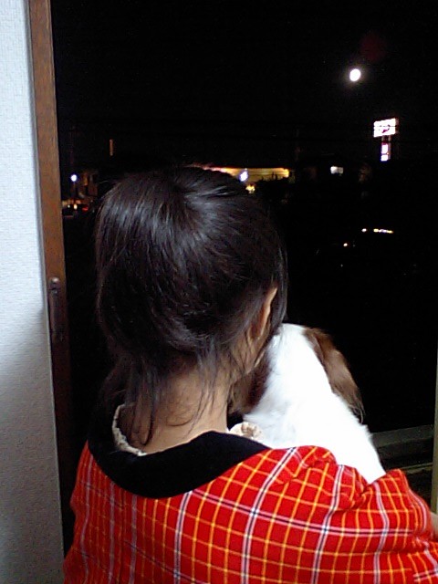 b0180990_124923.jpg