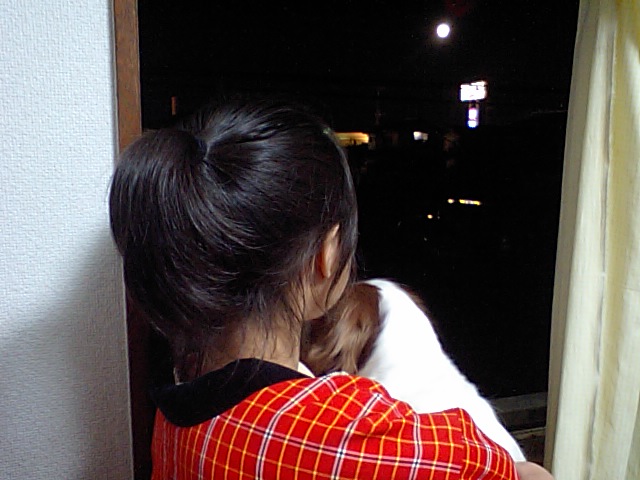 b0180990_1256594.jpg