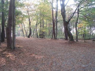 秋から冬の那須高原へ。_d0125890_2333890.jpg