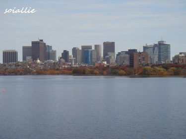 Boston～街並み編～_b0166491_1521870.jpg