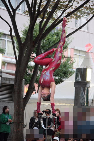 大道芸は続きます。_b0104592_1352066.jpg