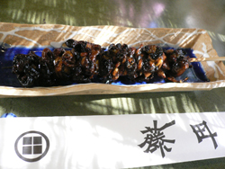 静岡旅行記1・インコ好き口笛奏者発見!_d0123492_21525145.jpg