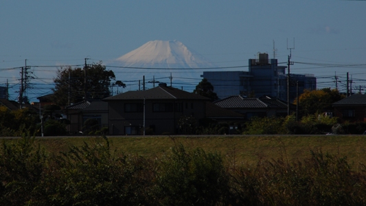 d0153294_8402922.jpg