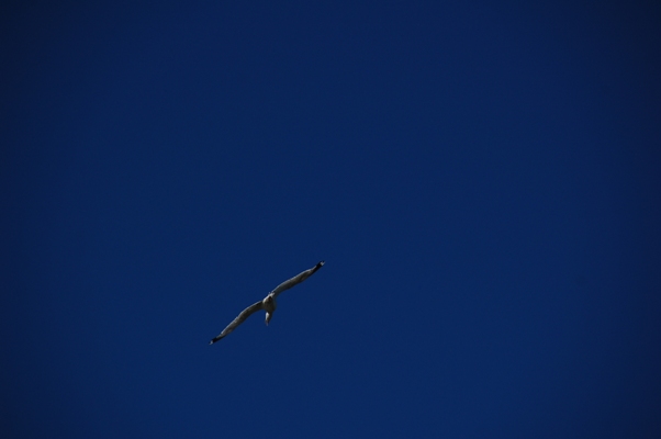 d0153294_8414910.jpg