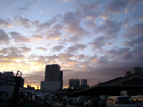 築地、マグロのセリ_a0047200_19262418.jpg