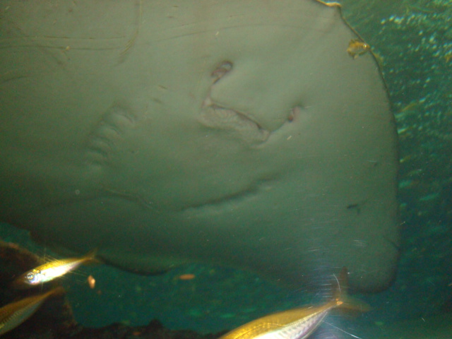 c0201000_21312216.jpg