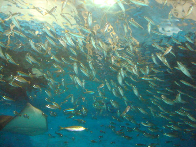 c0201000_21324443.jpg