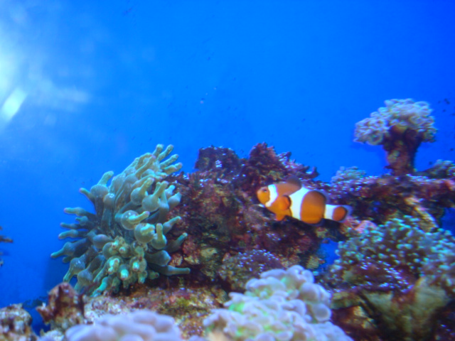 c0201000_21332888.jpg