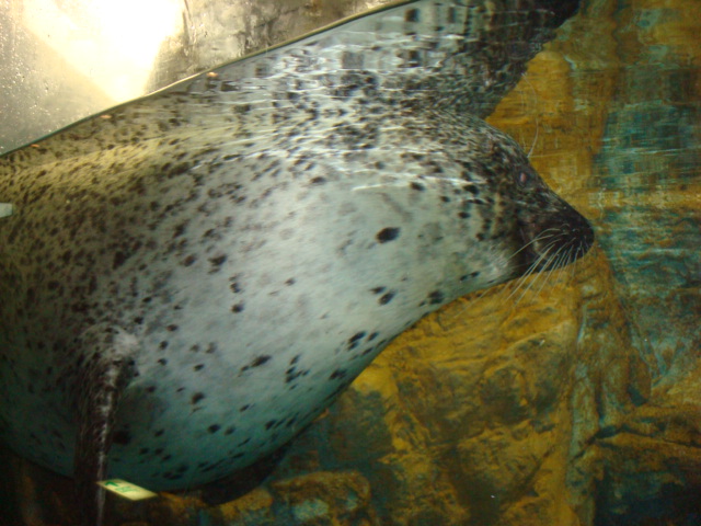 c0201000_21384140.jpg