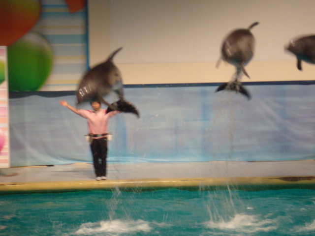 c0201000_21423294.jpg