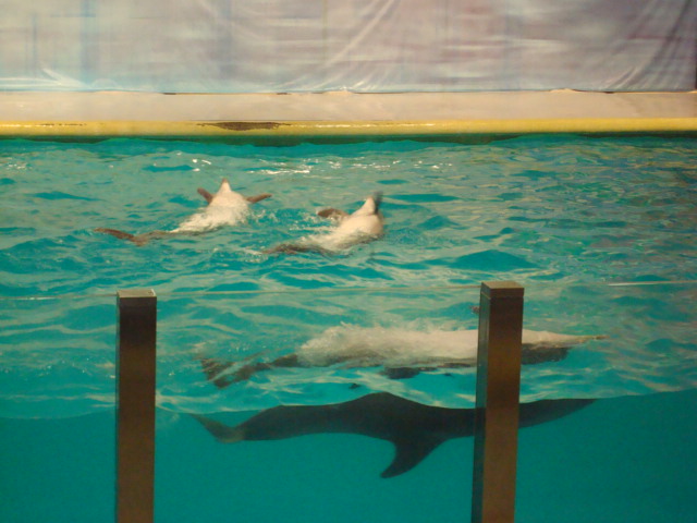 c0201000_21425548.jpg