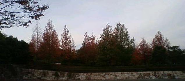 e0037600_16104294.jpg