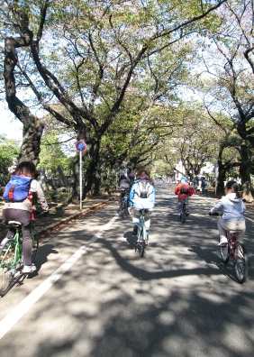 e0145301_2095255.jpg