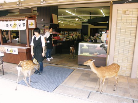 f0036603_14183724.jpg