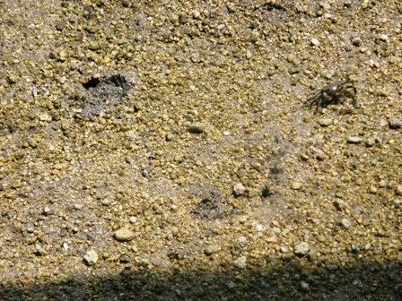 f0036603_14263086.jpg
