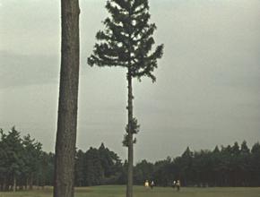 b0183304_0484913.jpg