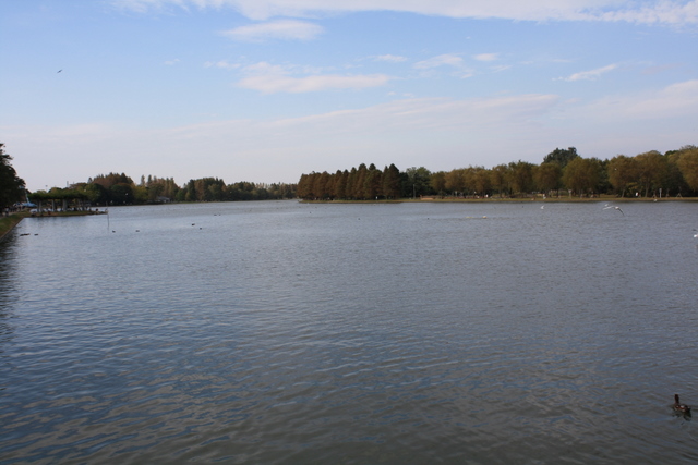 f0038407_1594987.jpg