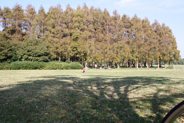 f0038407_1611351.jpg