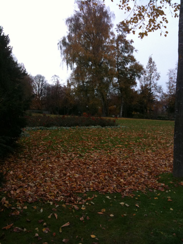 c0026612_1733320.jpg