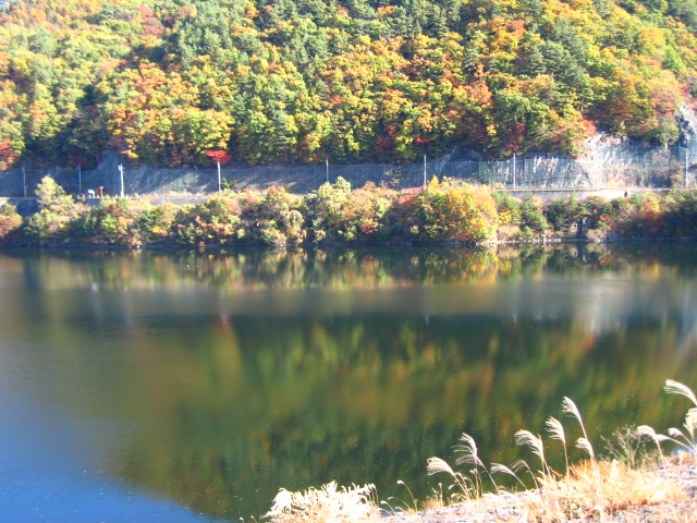 b0093515_7323131.jpg